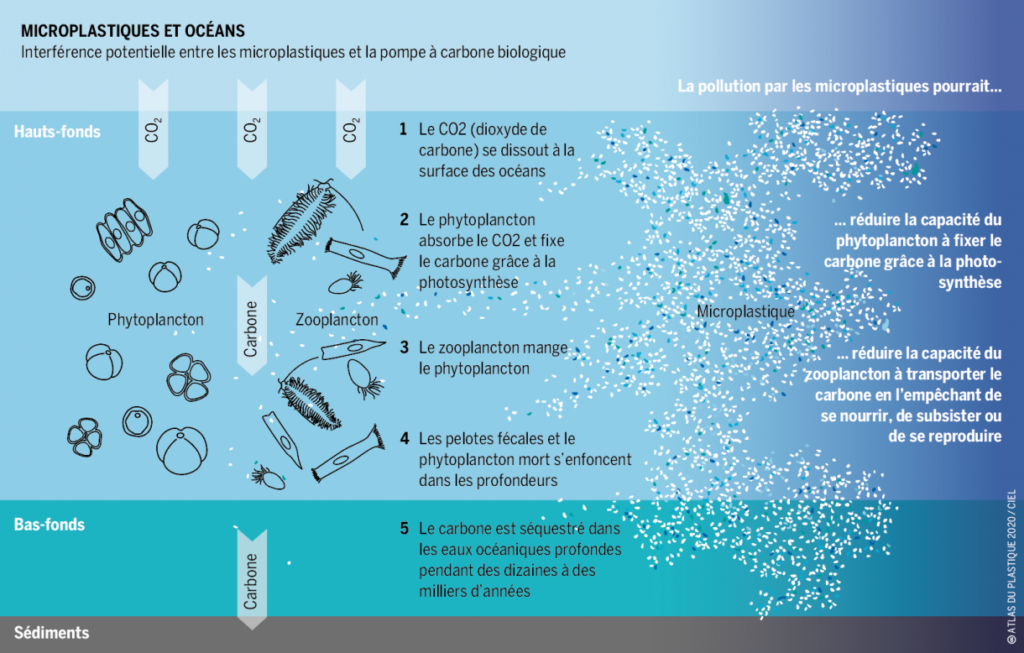 Microplastiques : conséquences sur nos océans - infographie