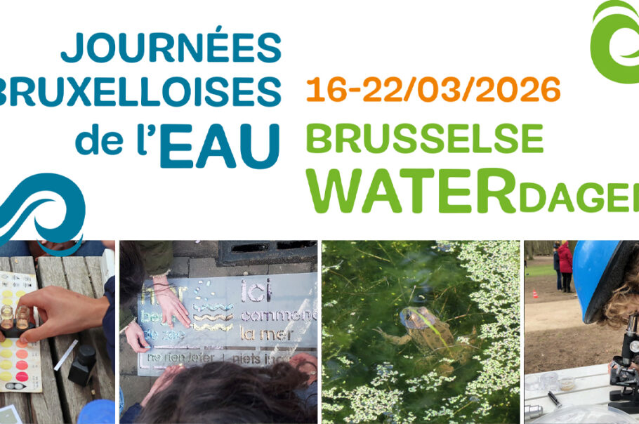 Image de couverture de la diapositive